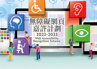 Web Accessibility Recognition Scheme