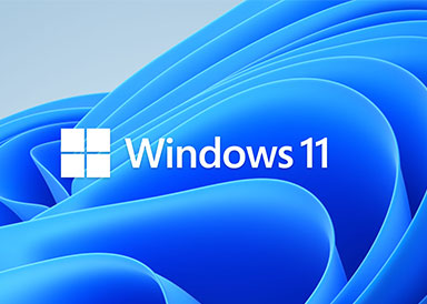Window 11