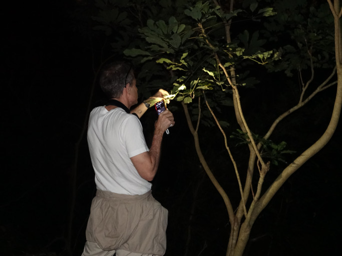 TRA4327 Night Safari Recap: Lau Shui Heung Reservoir