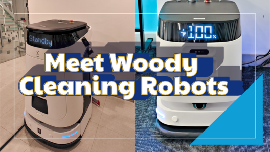 Meet Woody: Library New Cleaning Companions