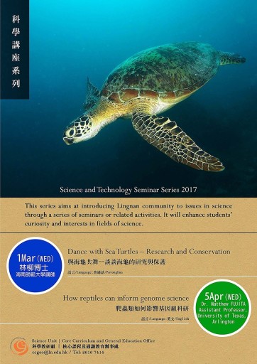 Turtles