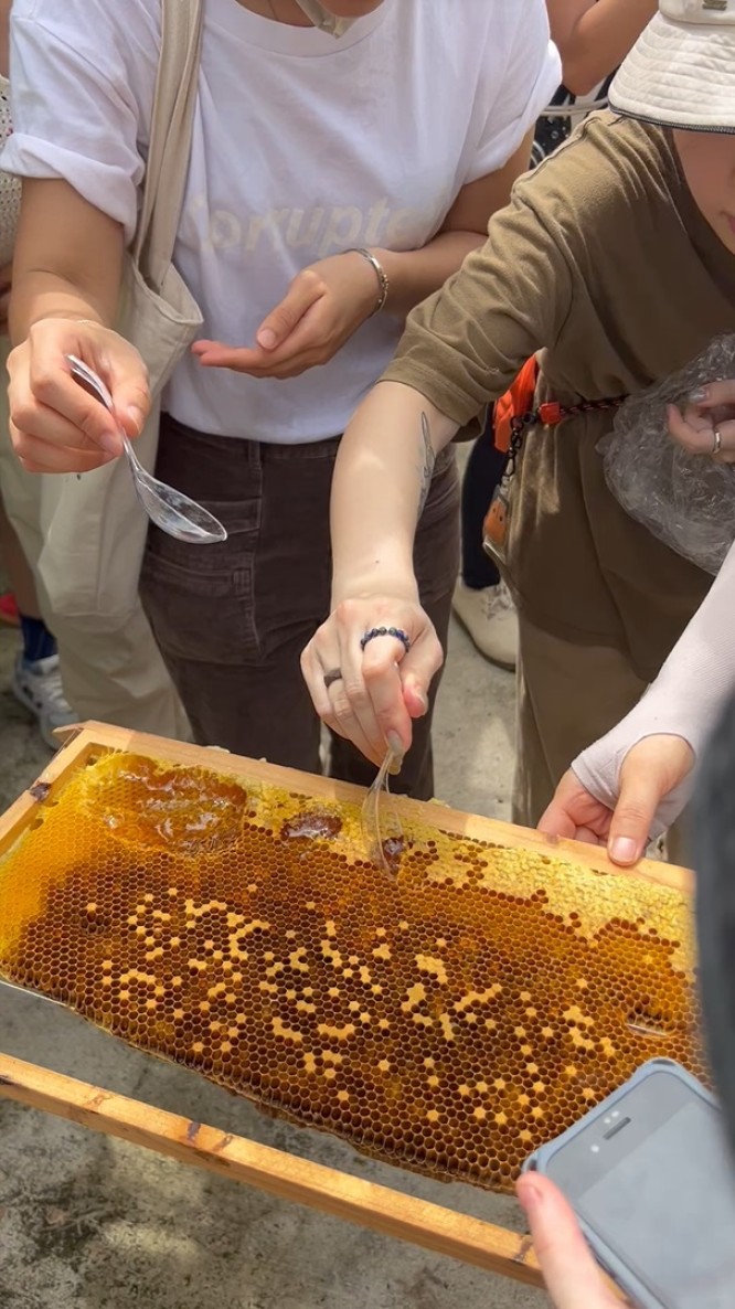 bee