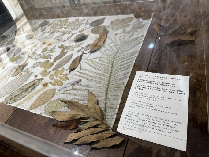 Outing = Eco-Print Art Exhibition + Cyanotype Workshop