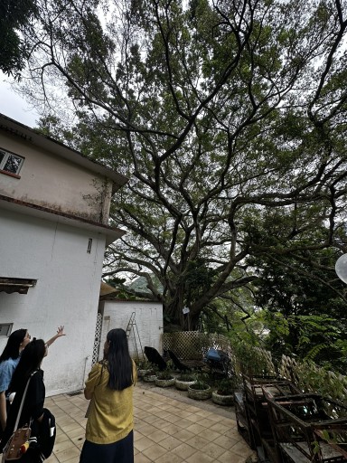 Outing = Eco-Print Art Exhibition + Cyanotype Workshop