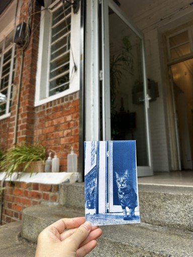 Outing = Eco-Print Art Exhibition + Cyanotype Workshop
