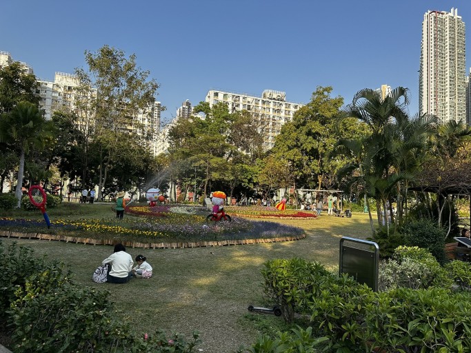 Shum Shui Po Tour on Pop Culture