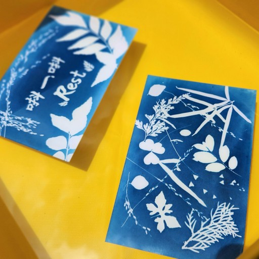 藍曬明信片