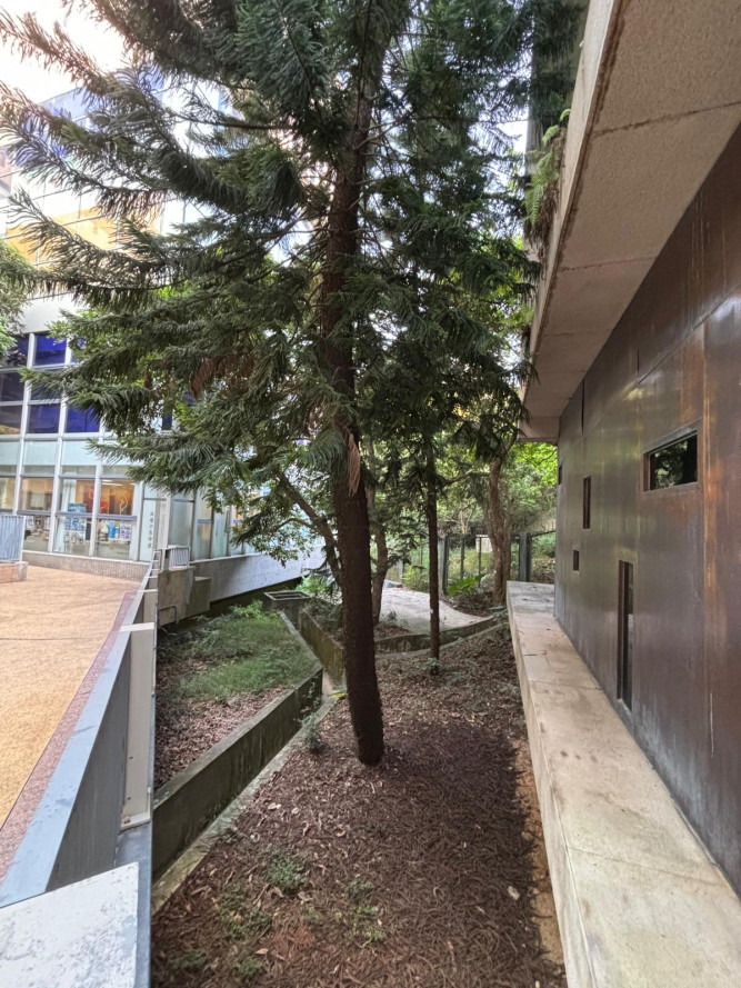 Natural Landscape Management and Resilient design