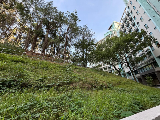 Provision of Hazard Mitigation Measures on Slopes