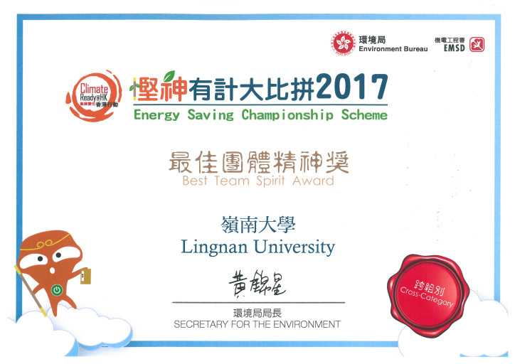 Best Team Spirit Award across all categories (2017)