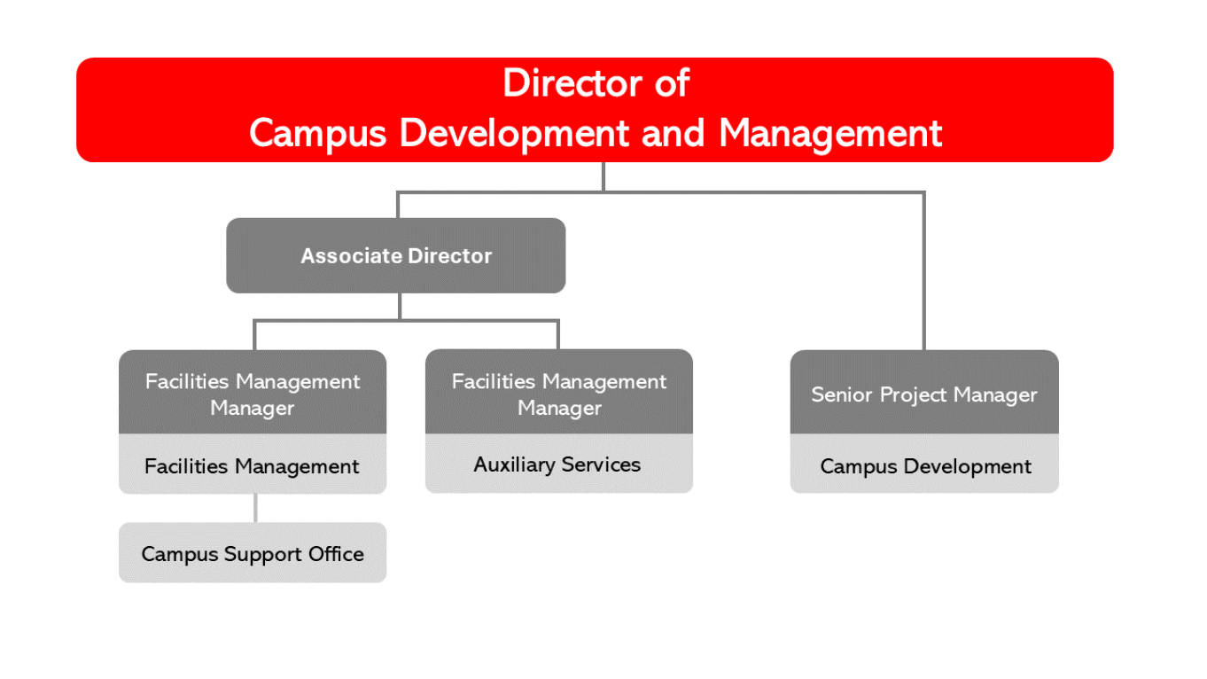 Organization Structure