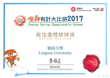 Best Team Spirit Award across all categories (2017)