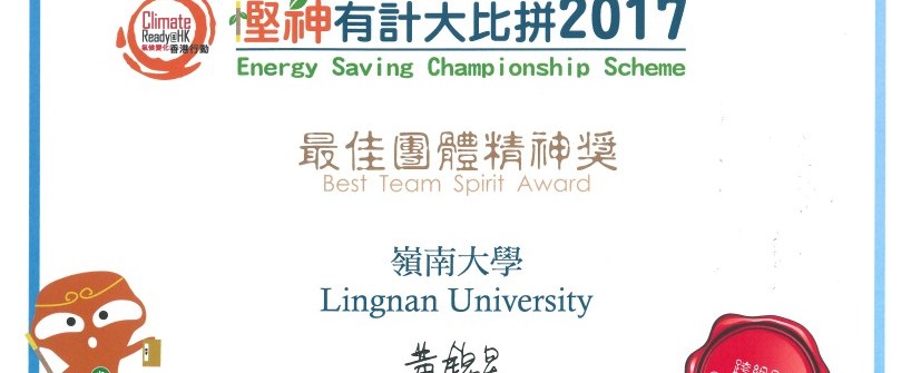 Best Team Spirit Award across all categories (2017)