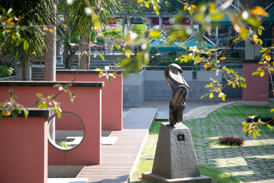 Contemporary Garden