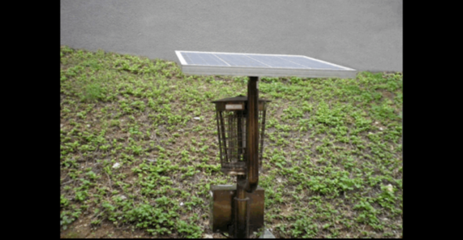 Solar mosquito magnet