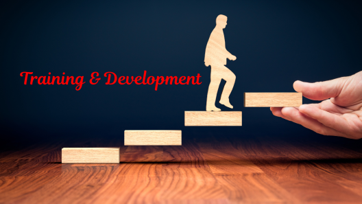 Training & Development
