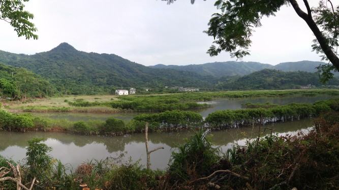 Exploring the hidden fish community and fishery value of estuarine mangroves in western Hong Kong waters through environmental DNA metabarcoding