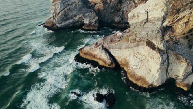 Environment and Conservation Fund Using Genome Skimming to Uncover the Hidden Genetic Diversity of Hong Kong's Rocky Shores