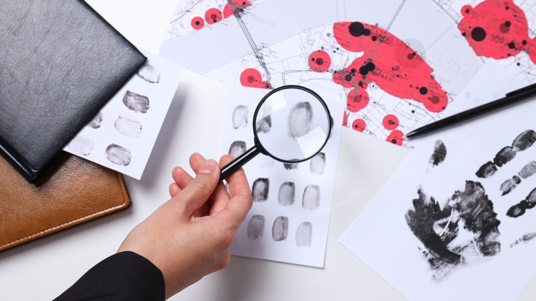 IDShield: AI Behavioural Fingerprinting for Anonymous Dialogue Decode