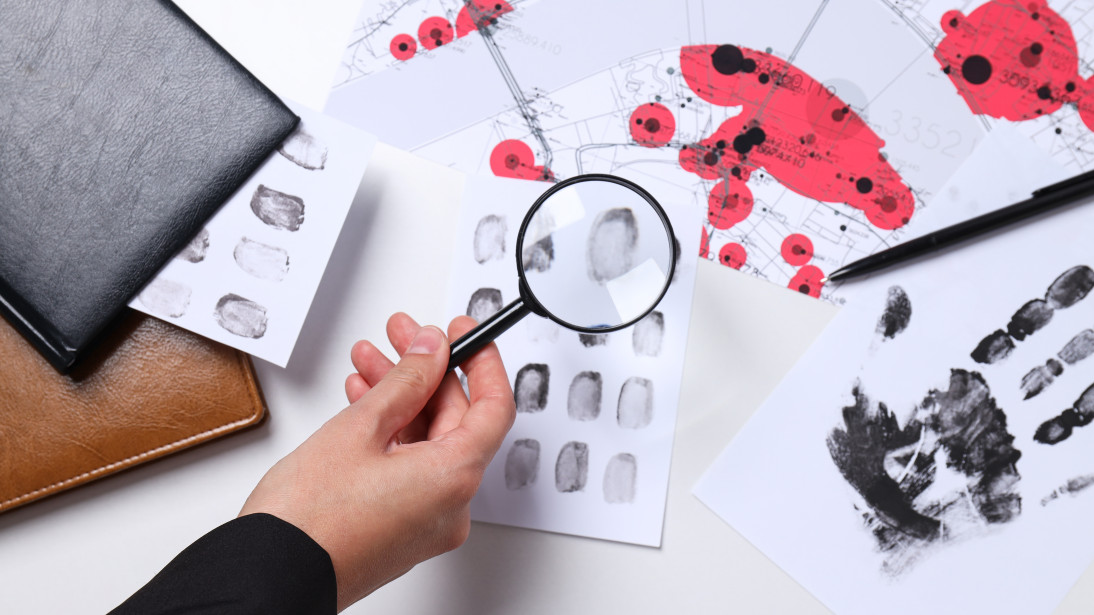 IDShield: AI Behavioural Fingerprinting for Anonymous Dialogue Decode