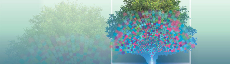  Building a Smart Future for Sustainability (January 2024, Issue 11)