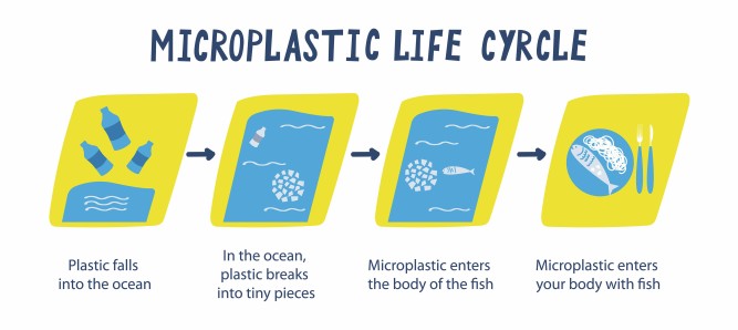 Plastic Circularity: Online education materials for secondary school students to learn the negative impact of plastic to the environment and the concept of circular economy
