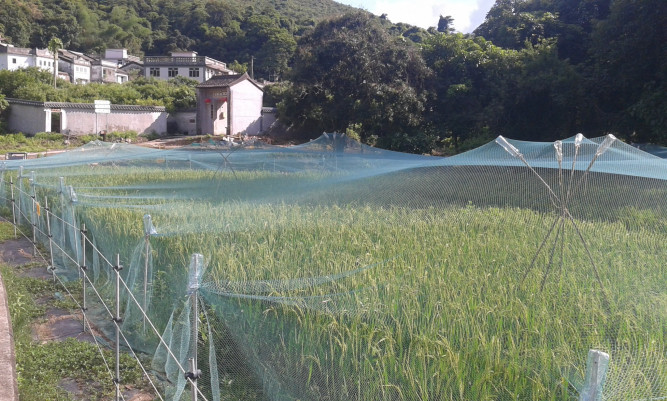 Touching the Earth - Environmental art workshop in Lai Chi Wo