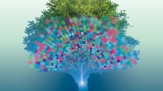 Research & Innovation Newsletter