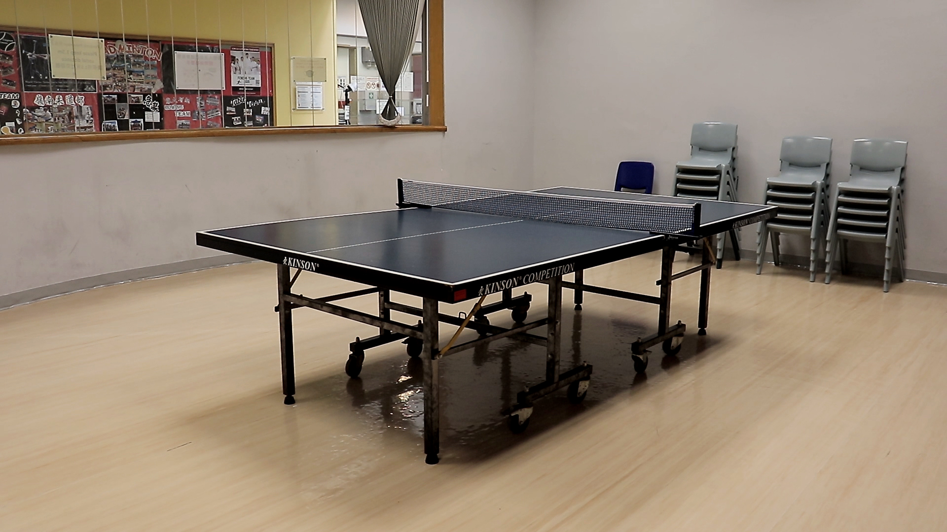 Table Tennis Court