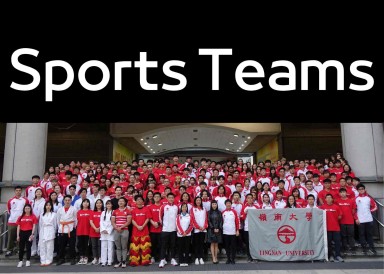 University Sports & Cultural Teams
