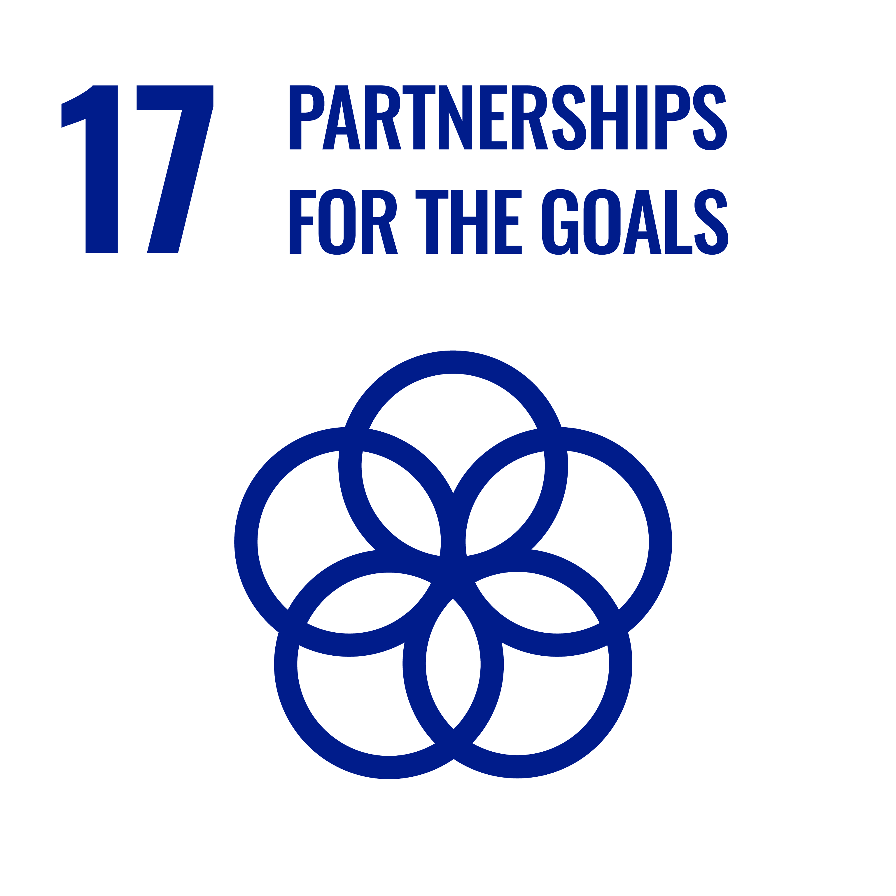 SDG 17 - Partnerships for the goals