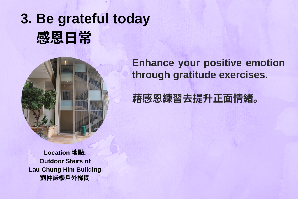 3.Be grateful today感恩日常