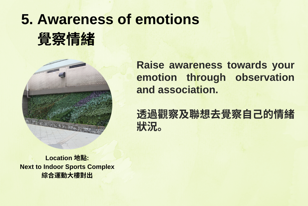 5.Awareness of emotions覺察情緒