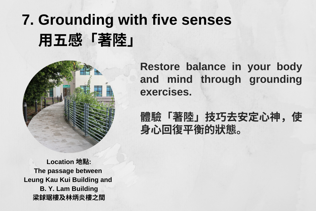 7.Grounding with five senses用五感「著陸」