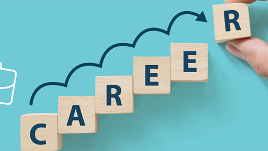 Career Support Scheme for Taught Postgraduate Students