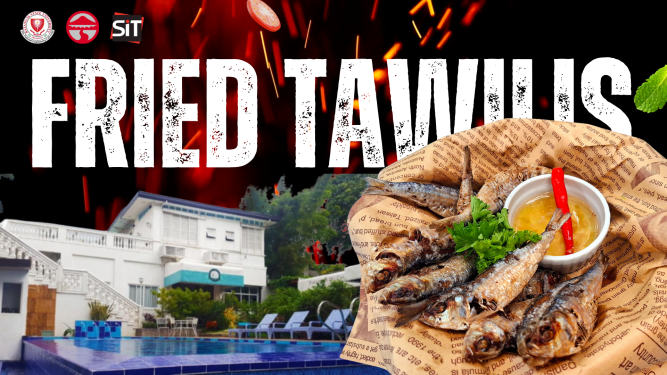 Promotional Video - Fried Tawilis
