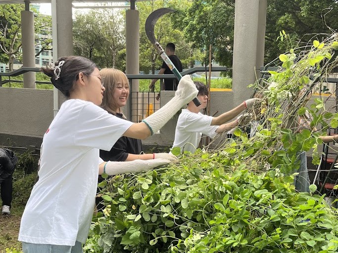 Students took care of the farm land at Lingnan campus.