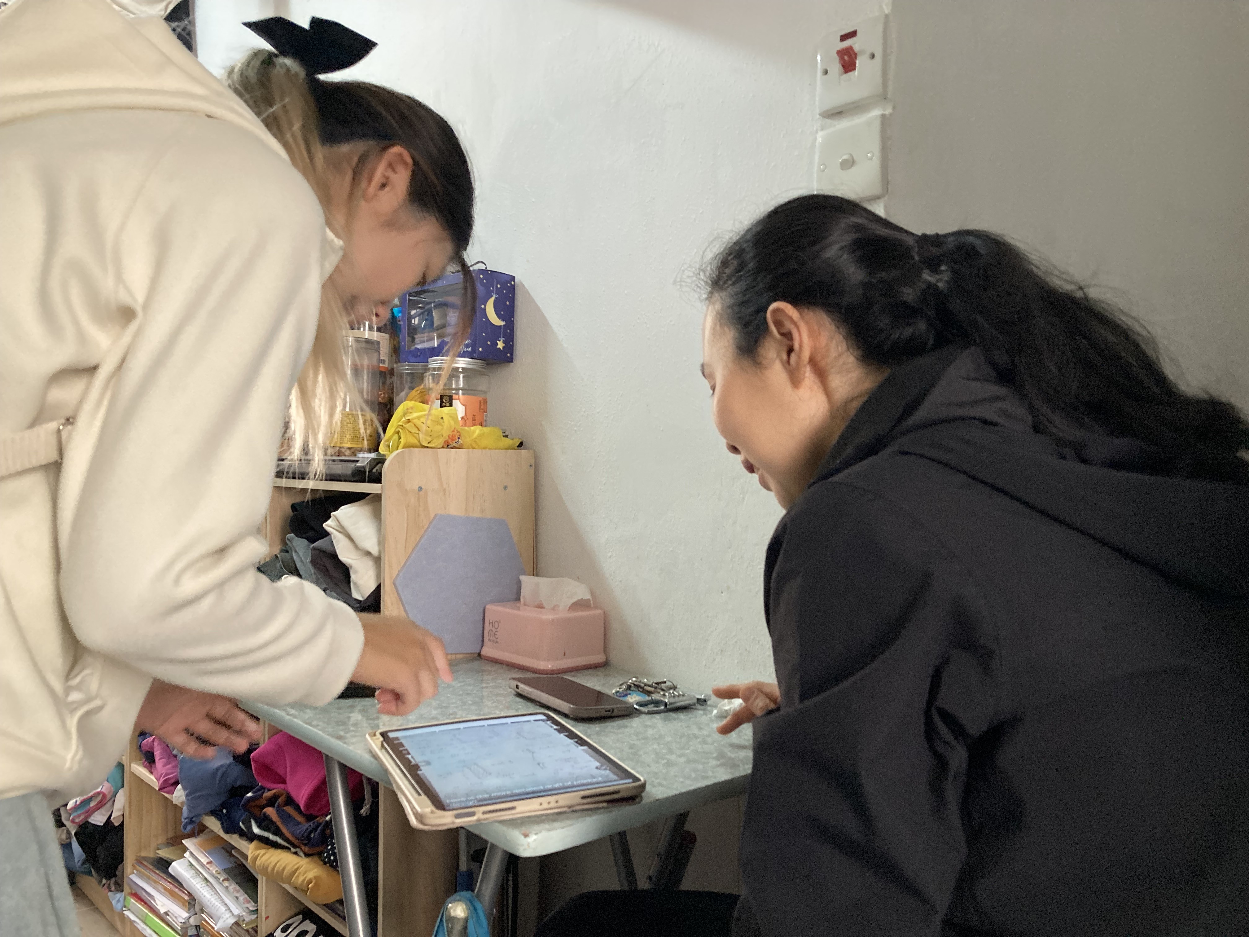 Lingnan students visited subdivided units to collect data.