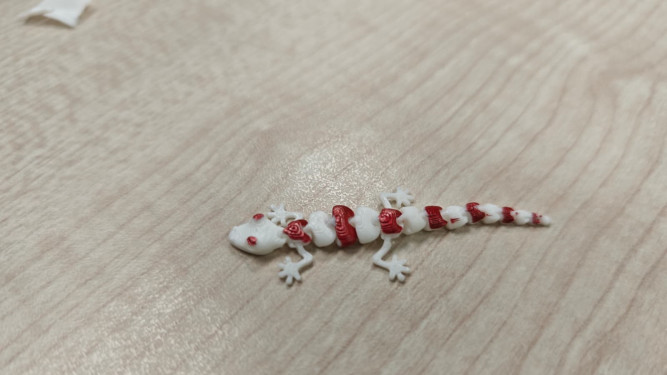 White and red 3D-printed articulated lizard toy.