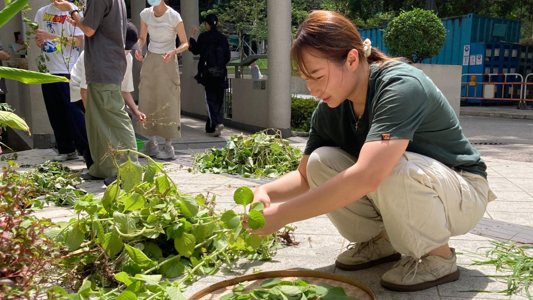 Farm-to-Table