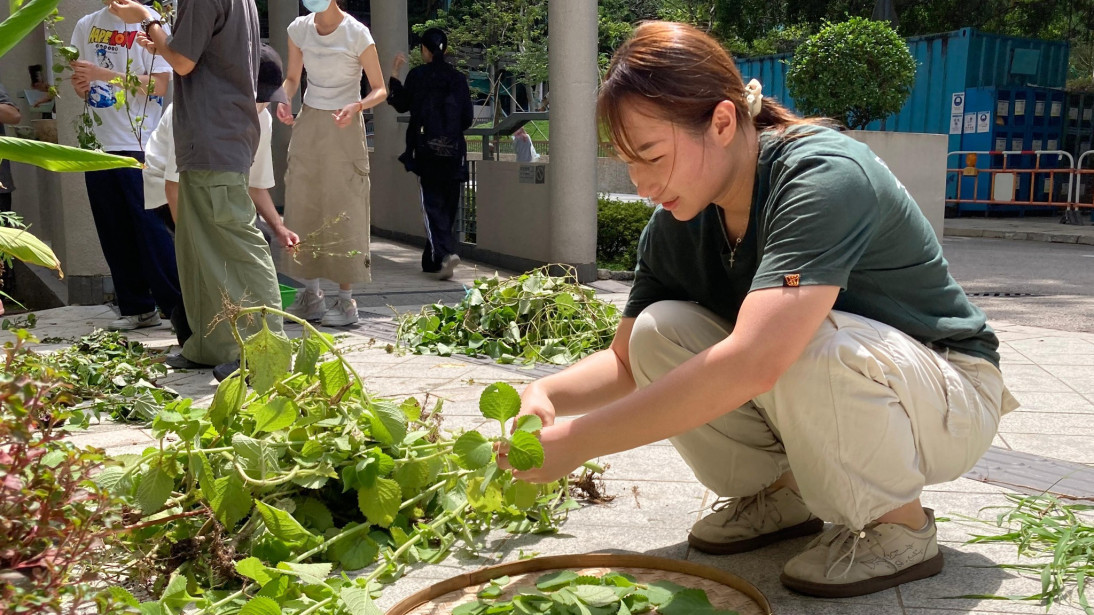 Farm-to-Table