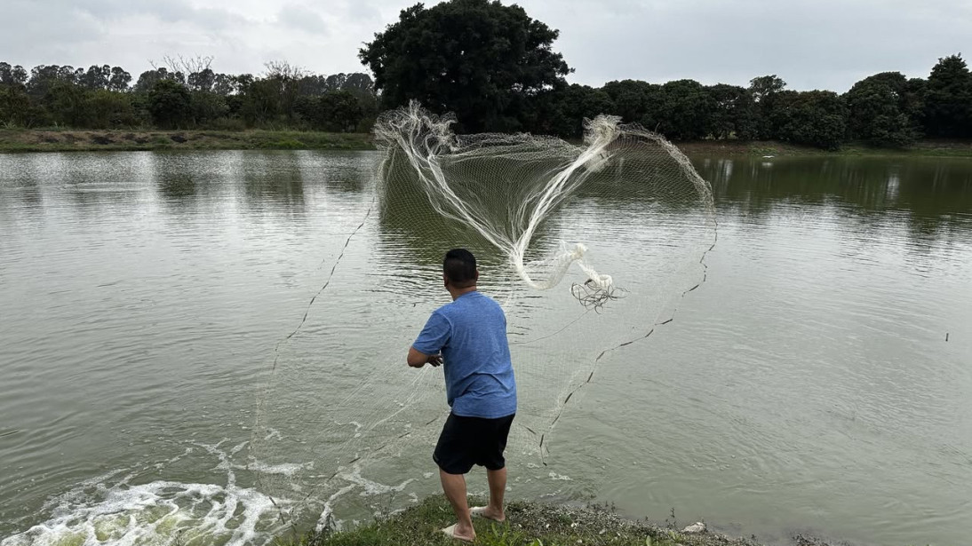 Tai Sang Wai Wetland & Fisheries Documentary