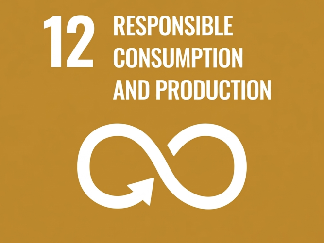 UN Sustainable Development Goal 12: Responsible Consumption and Production official icon.