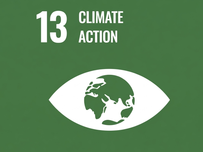 UN Sustainable Development Goal 13: Climate Action official icon.