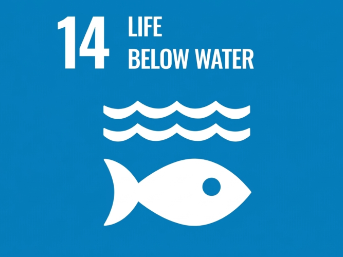 UN Sustainable Development Goal 14: Life Below Water official icon.