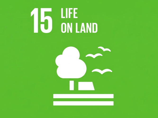 UN Sustainable Development Goal 15: Life On Land official icon.