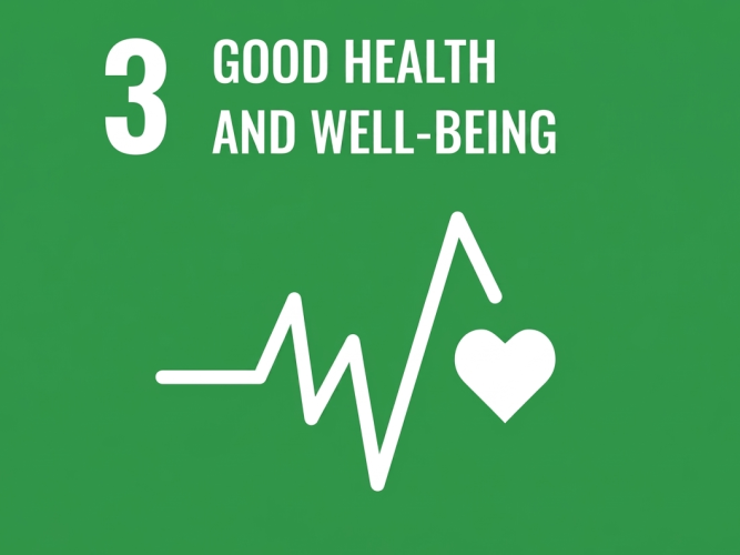 UN Sustainable Development Goal 3: Good Health and Well-Being official icon.
