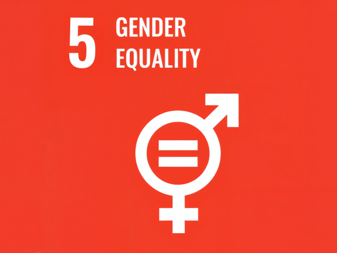 UN Sustainable Development Goal 5: Gender Equality official icon.