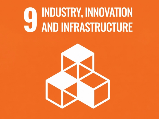 UN Sustainable Development Goal 9: Industry, Innovation and Infrastructure official icon.