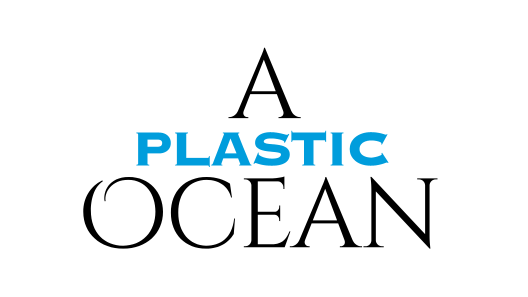 A Plastic Ocean Foundation